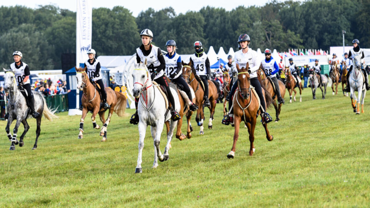 Emirati riders dominate Sheikh Mohammed bin Rashid Al Maktoum Endurance Cup Festival