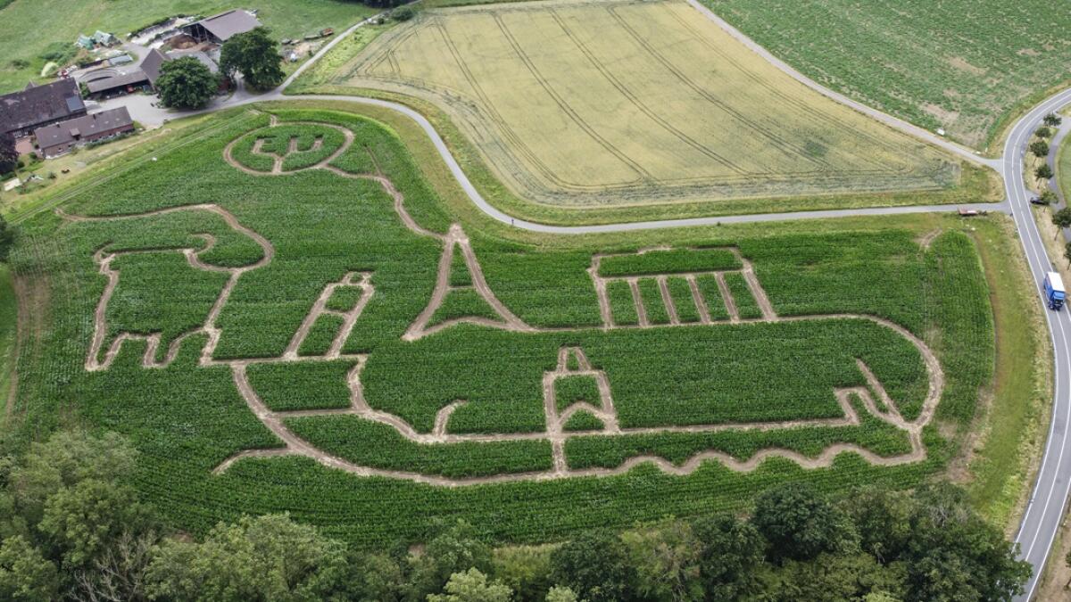 Farmer Luenemann has cut a maze out of his corn field, showing symbols of Europe like the German Brandenburg Gate, the French Eiffel Tower, the Italian Leaning Tower of Pisa, the Spanish Bull and the Czech Charles Bridge in Selm, Germany. Photo: AP