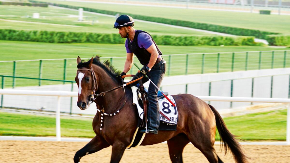 Hotstepper: Hot Rod Charlie during morning trackwork at the Meydan Racecourse on Friday. — Jacquie Doyle