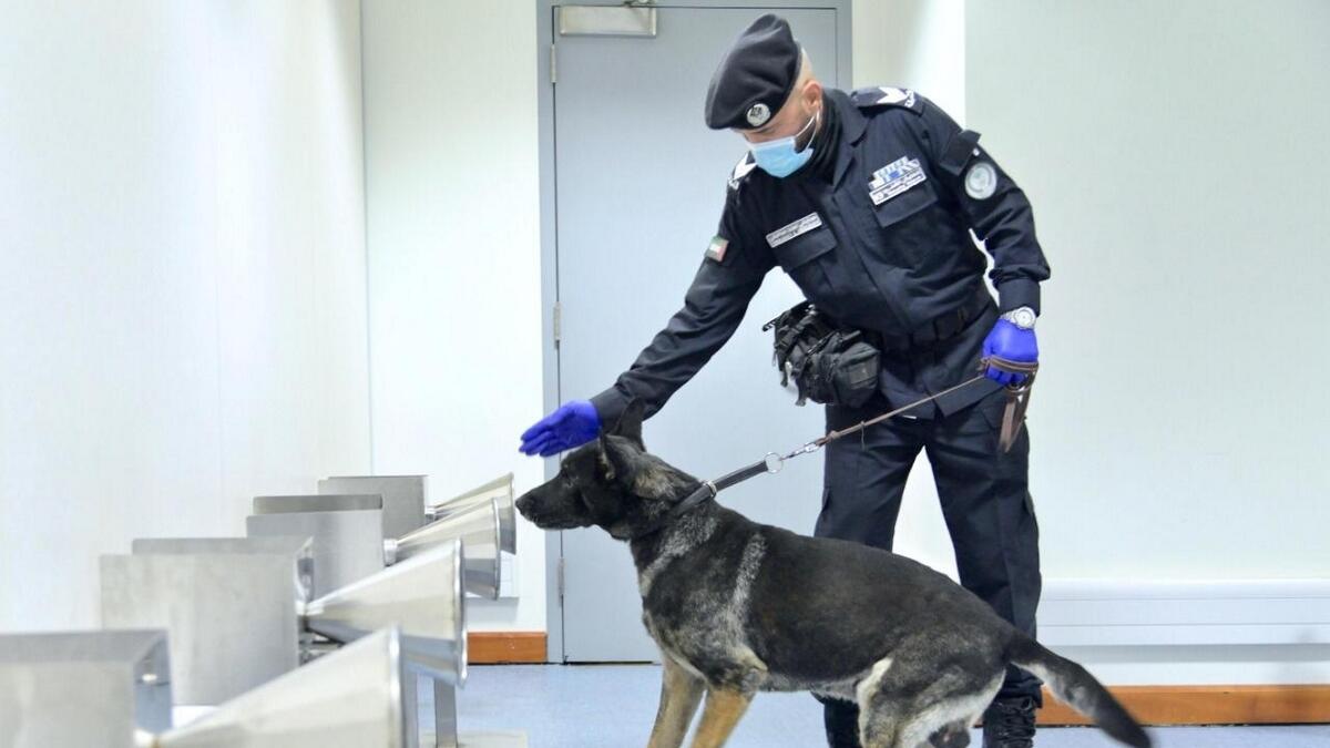 UAE, police, dogs, detect, coronavirus, airports, armpits, samples, sniffing