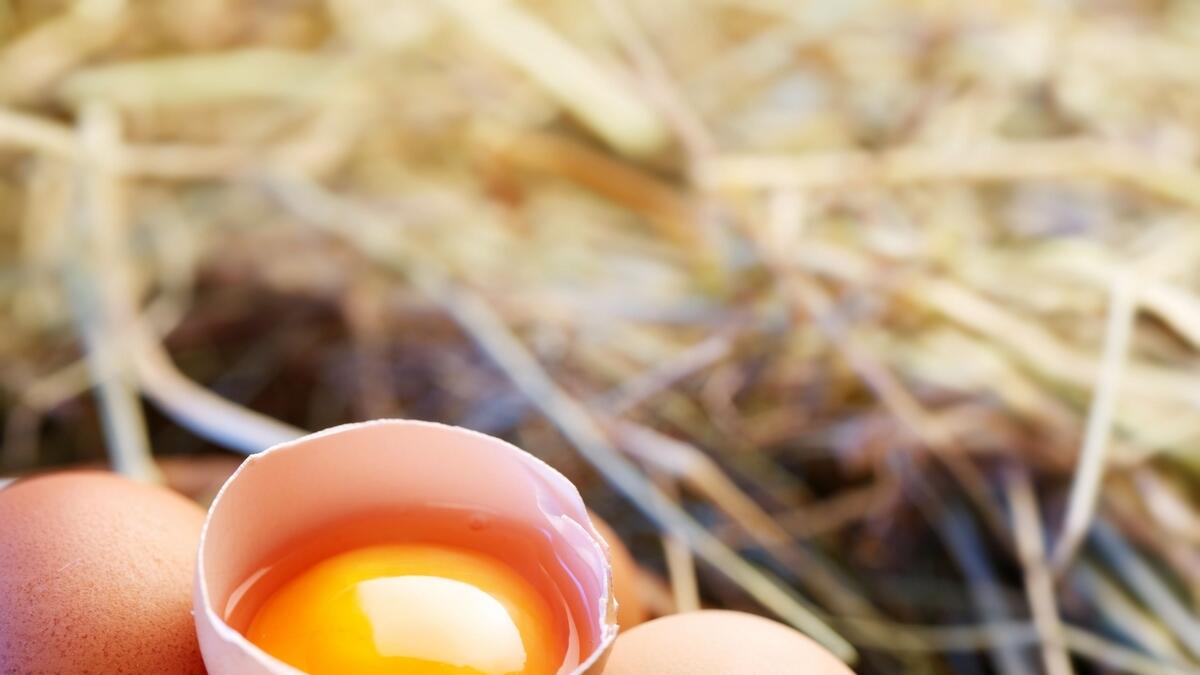 UAE bans eggs imported from US farm  