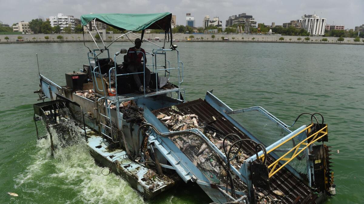 AFP file photo of a trash skimmer loading up dead fish from the polluted Sabarmati River in Ahmedabad.