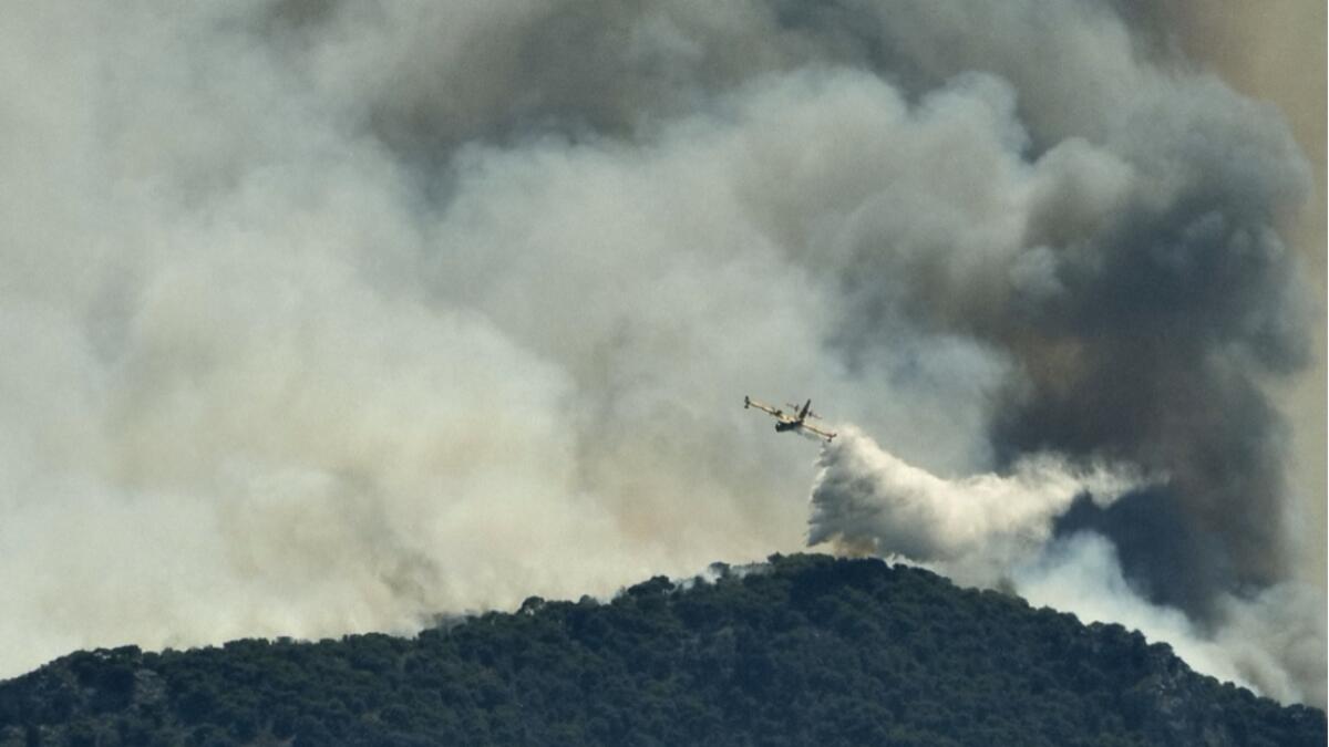 A firefighting plane makes a water drop as a wildfire burns near the village of Kechries, Greece. Photo: Reuters