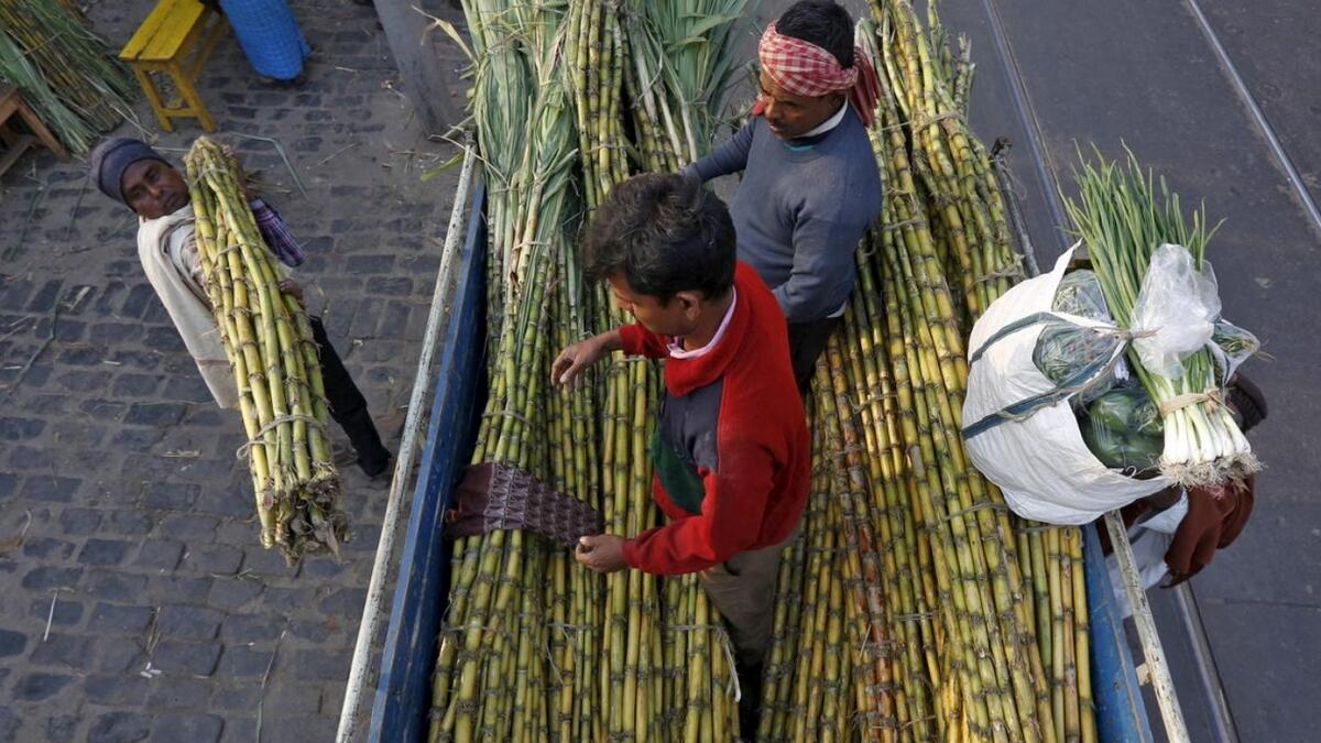 * India is facing potential delays in the harvest of its massive sugarcane crop, threatening supply worldwide, as millions of migrant workers needed for the harvest may be scared to travel due to the novel coronavirus.