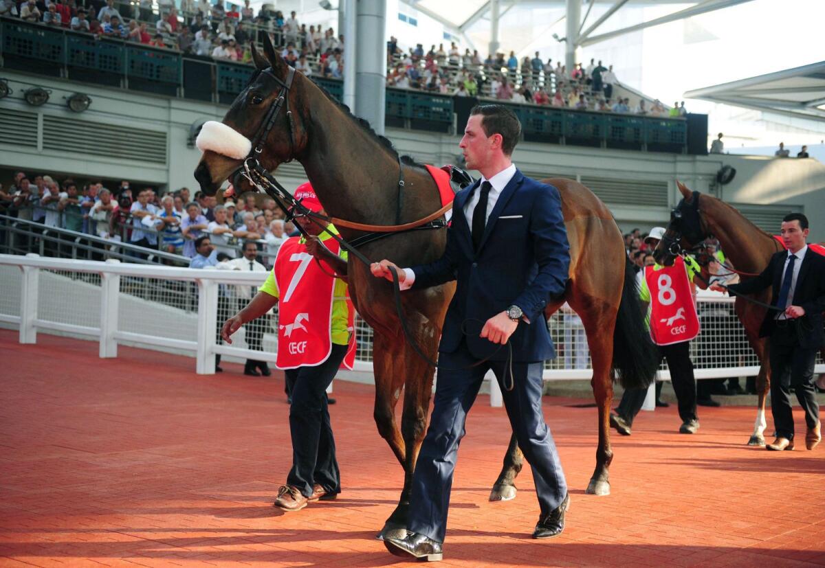 Horses are paraded at Kranji racecourse in Singapore which is set to be closed and redeveloped for housing. - AFP