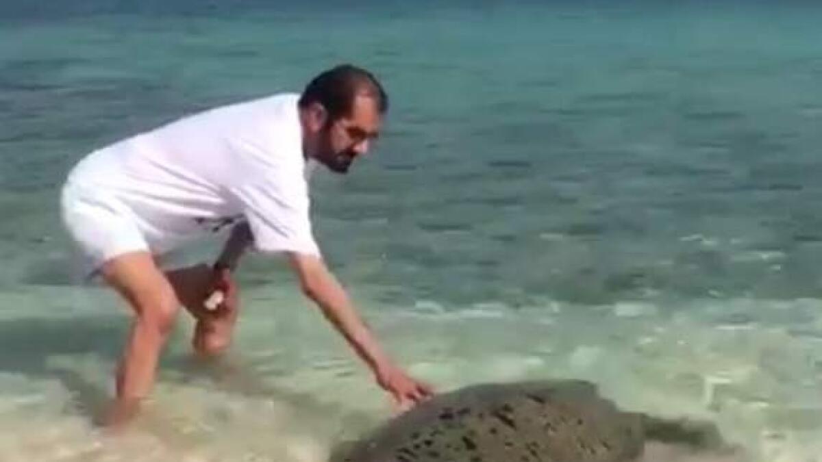 WATCH: Shaikh Mohammed releases turtle at Dubai beach
