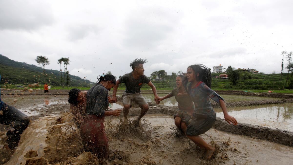 People play in the mud as they plant rice saplings during National Paddy Day also called Asar Pandra, that marks the commencement of rice crop planting in paddy fields as monsoon season arrives, in Kathmandu, Nepal. Photo: Reuters