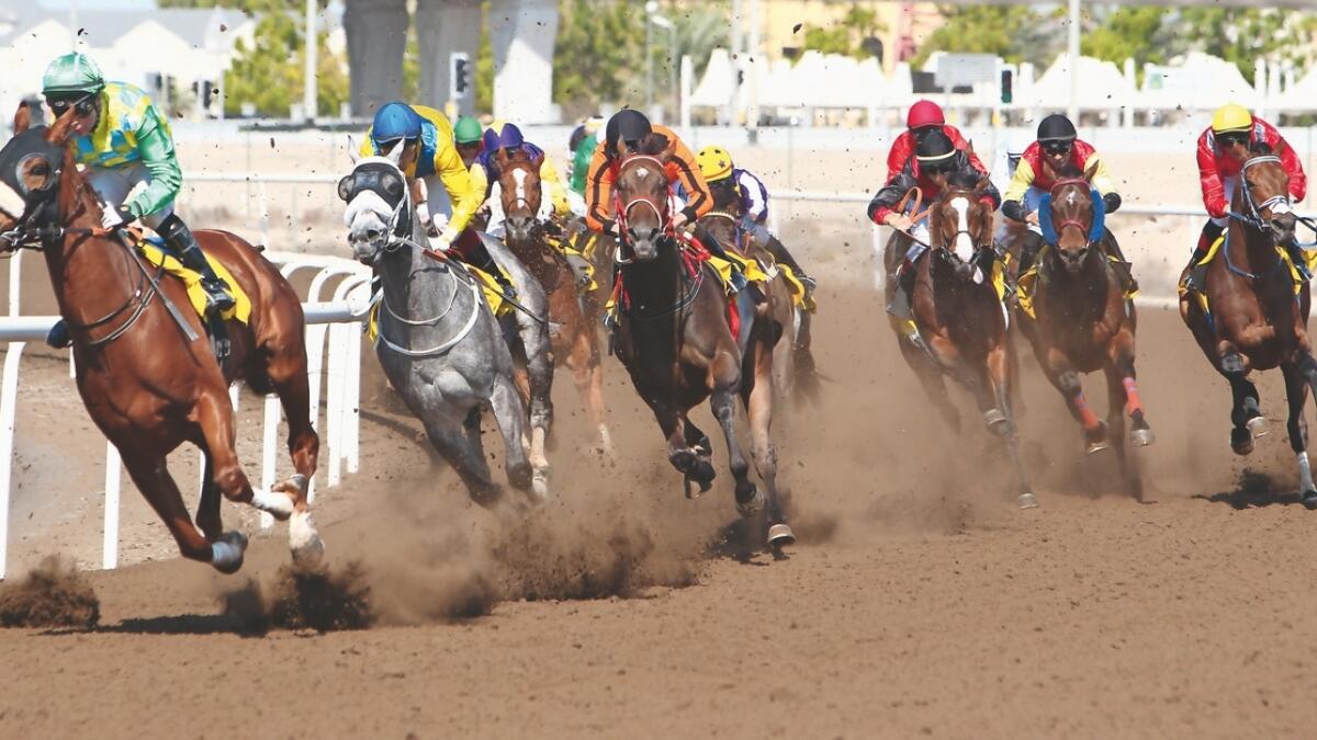 DIGITAL: Fans, who have been restricted from attending the popular horse racing events due to Covid-19, will now get an opportunity to nominate their six winners online at the Jebel Ali Racecourse. - KT file