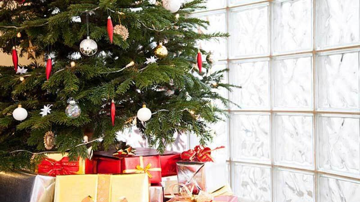 The trees can be purchased online at ChristmasTreesDubai.com and prices start from Dh550 onwards.- Alamy Image