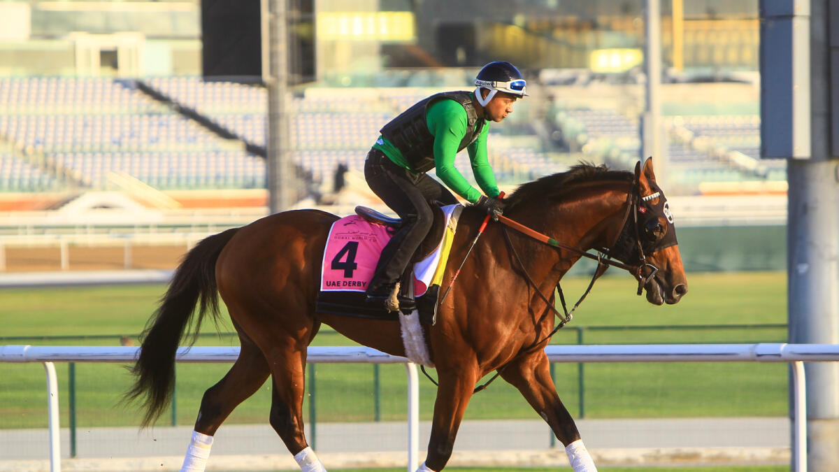 Frank Conversation during a morning workout a day before the Dubai World Cup in Meydan.