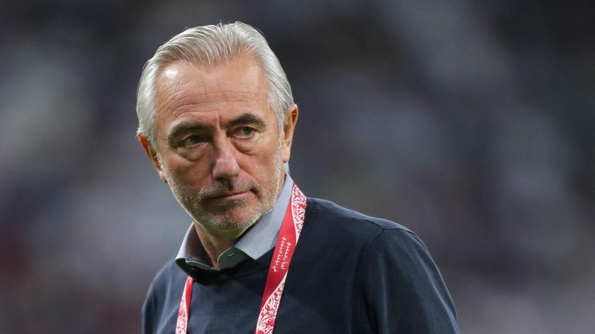 UAE coach Bert van Marwijk. (AFP)