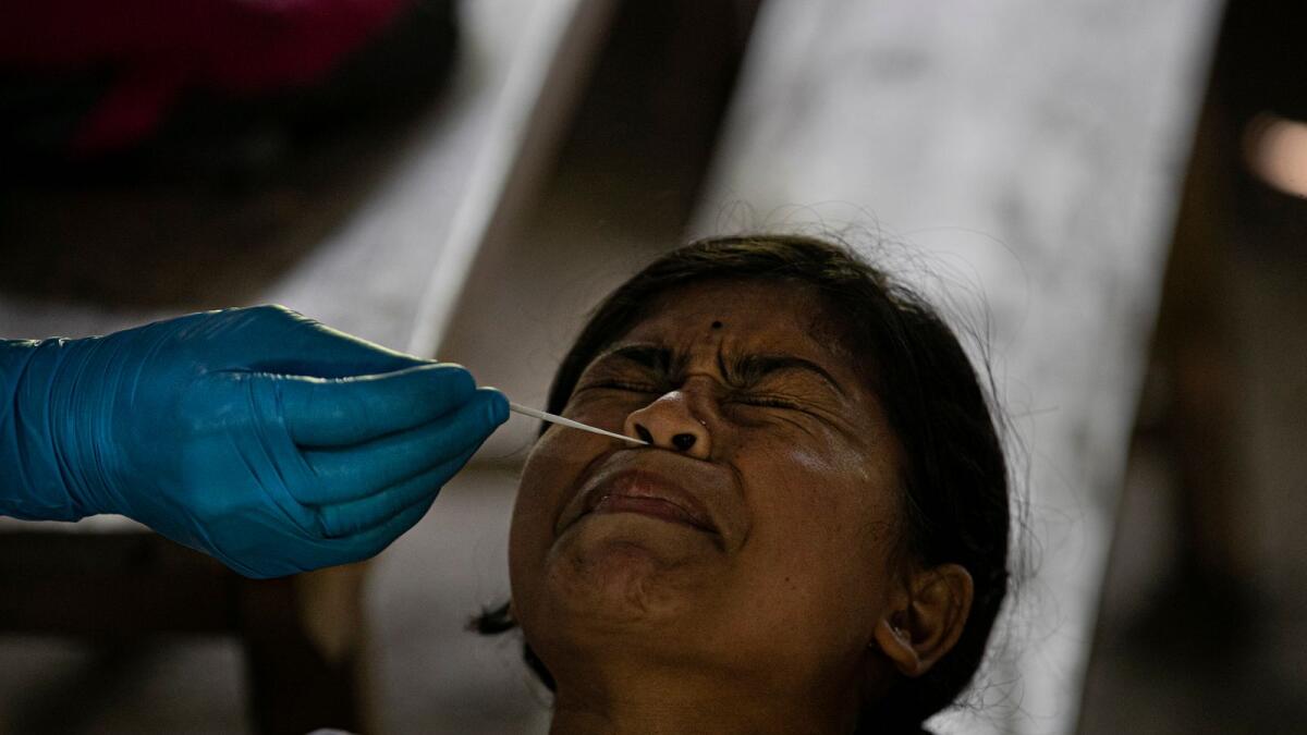 An Indian health worker takes a nasal swab sample of a student to test for coronavirus after classes started at a college in Jhargaon village, outskirts of Gauhati, India. (AP Photo)