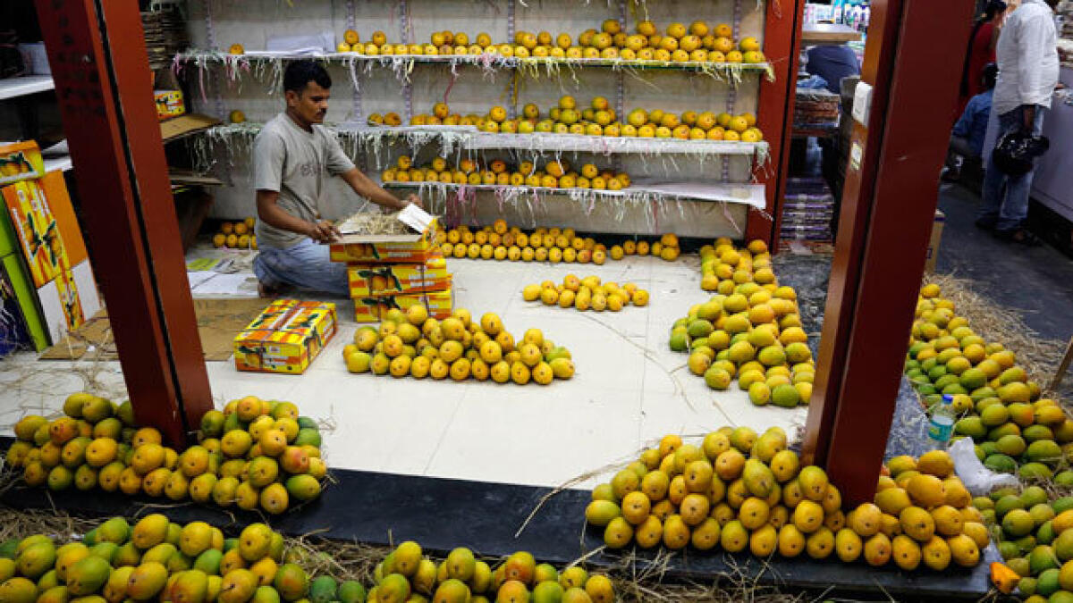 Pakistani mango growers slice in to India market