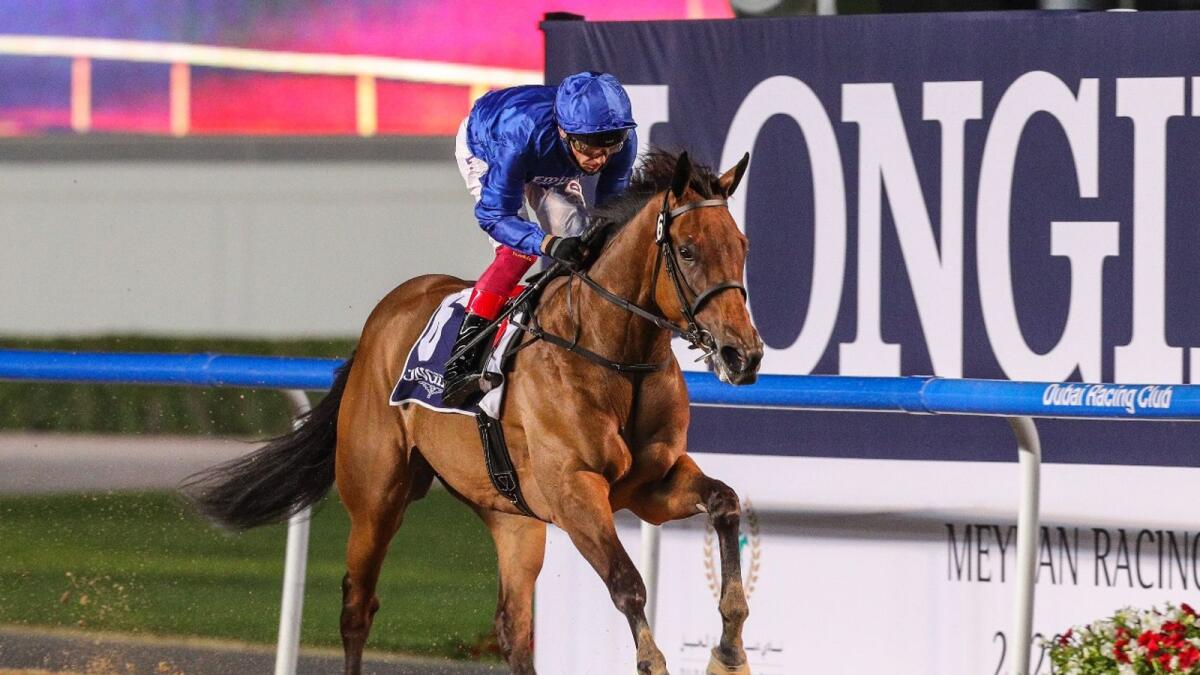 Godolphin filly Soft Whisper, who won the UAE 1000 Guineas last month, will go up against the boys in the Saudi Derby during the Saudi Cup in Riyadh. (Dubai Racing Club)