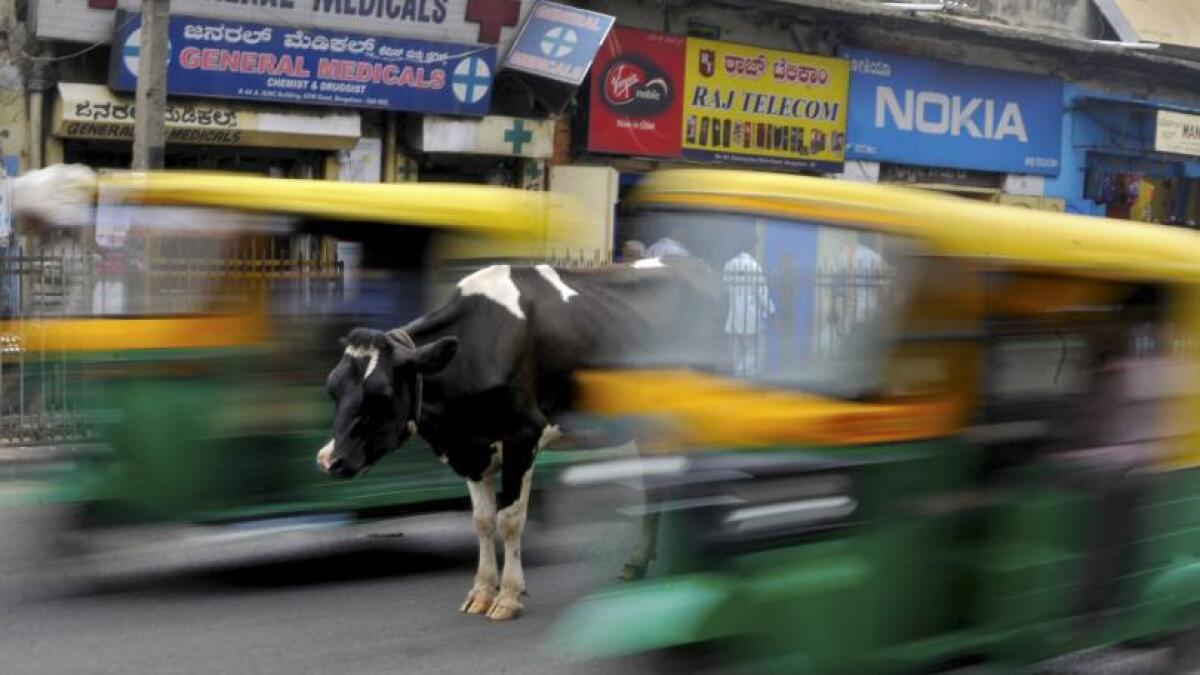 Indian mob stab Muslim man to death over beef