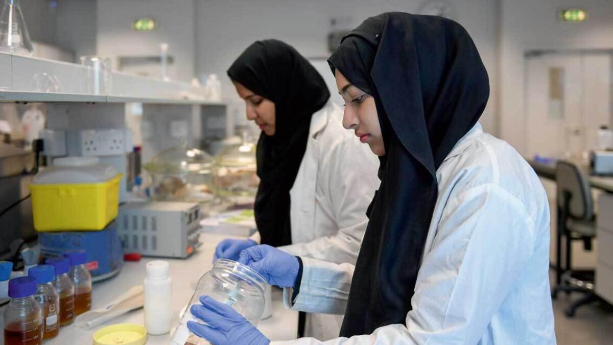 Students of the United Arab Emirates University engaged in their pathbreaking project. — Supplied photo