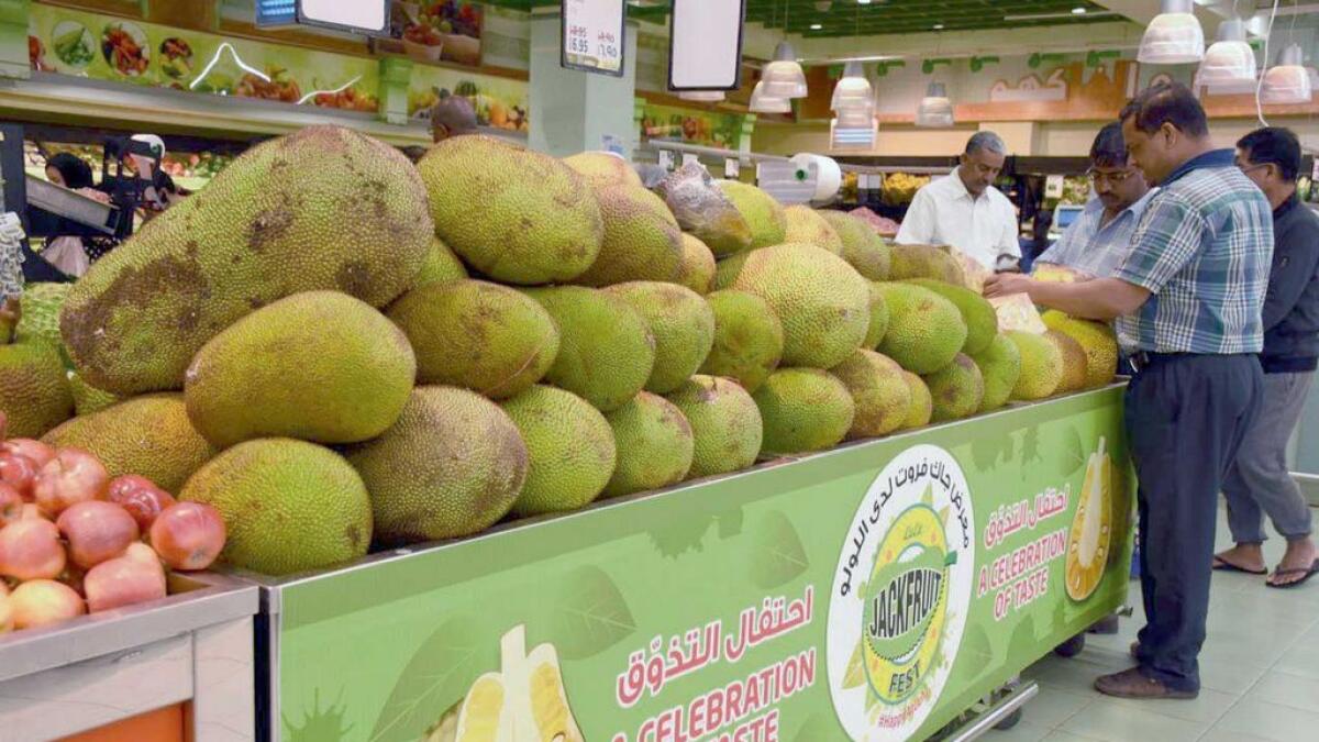 About 20 varieties of jackfruit are displayed at the Jackfruit festival being held in Abu Dhabi.