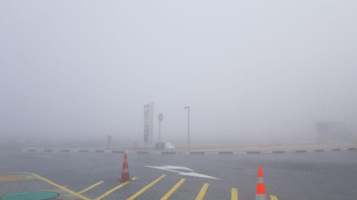 Video: How heavy is the fog in UAE today?