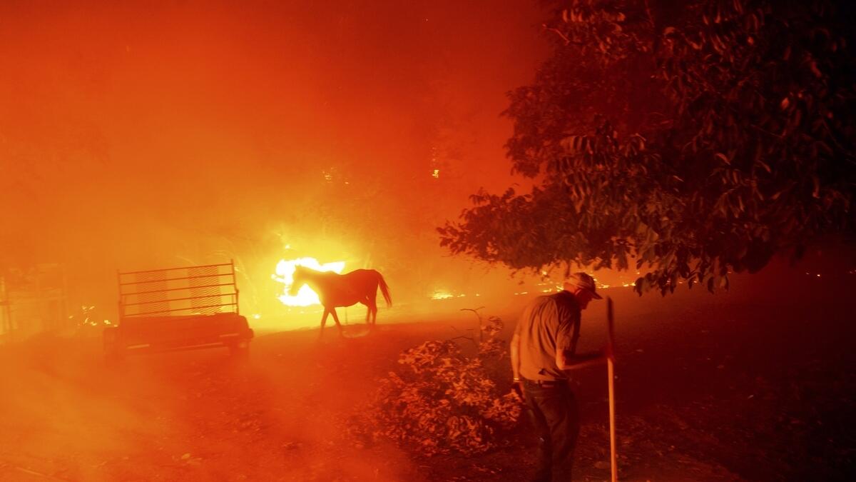 San Francisco, Bay Area, 30 wildfires