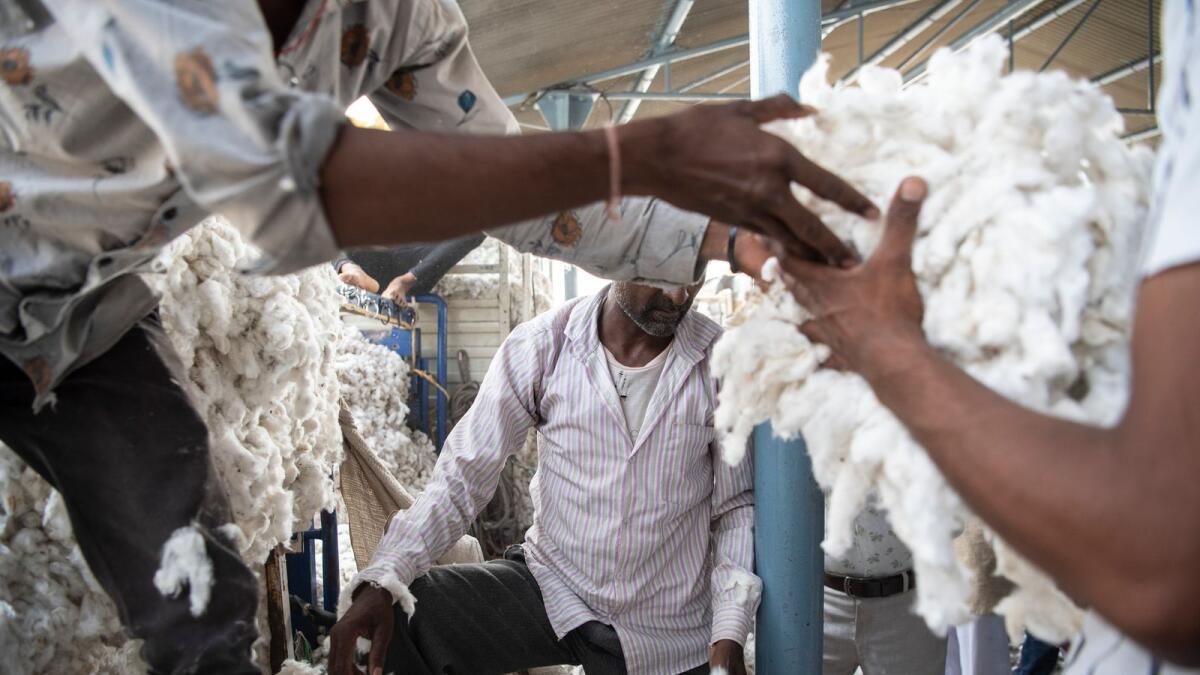 Farmers in Khargone, India auction their cotton on October 23, 2021. The cotton industry was one of the earliest adopters of tracing technologies, in part because of previous transgressions. (Saumya Khandelwal/The New York Times)