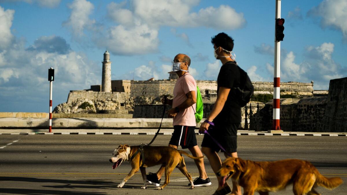 Men wearing face masks walk their dogs along Havana's Malecon.