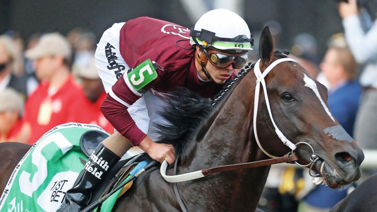Midnight Bourbon is one of the top contenders for the $12 million Dubai World Cup. — AFP file
