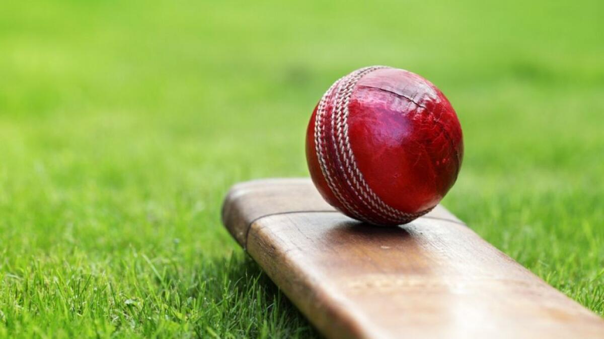 Video of assault on cricketer in India goes viral, 2 held