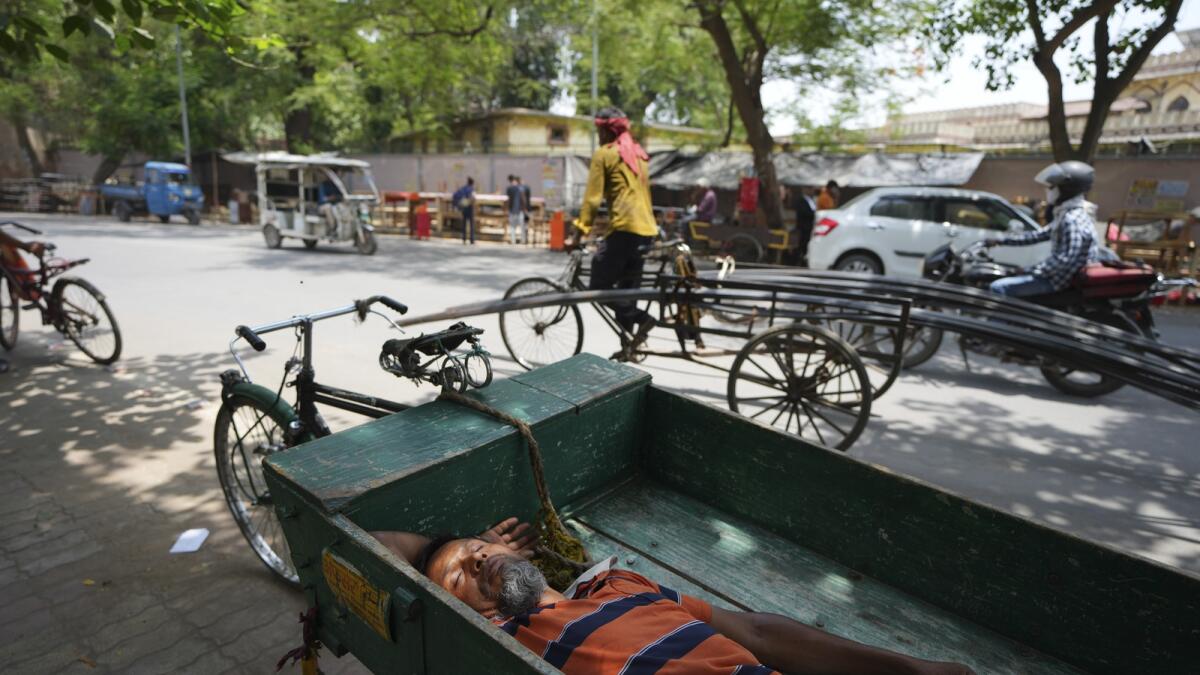 An Indian labourer sleeps on a push cart in the shade of a tree on a hot day in Prayagraj. — AP