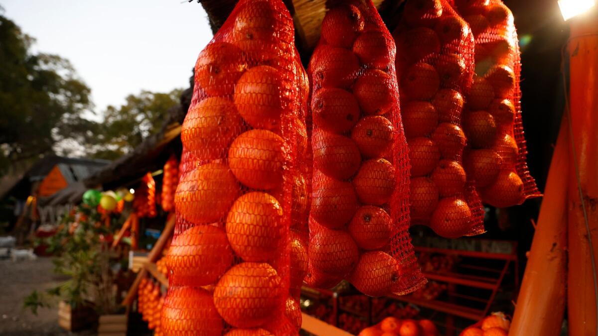 A general view of oranges for sale at on citrus stall on the N4 outside Mbombela on August 6, 2022. (Photo by Phill Magakoe / AFP)