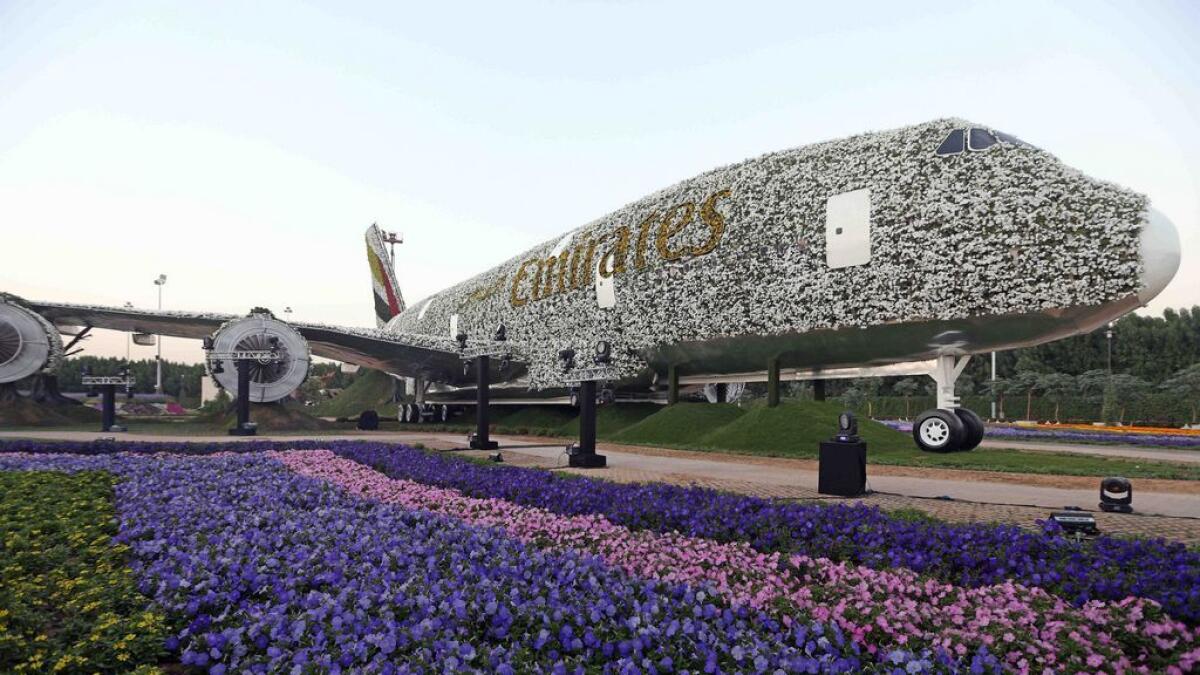  The Emirates A380 Flower Installation at the Miracle garden in Dubai. -Photo by Dhes Handumon/Khaleej Times 