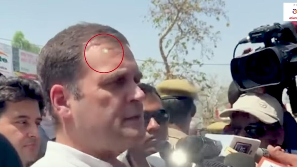 Video: Laser, likely from sniper gun, pointed at Rahul Gandhis head, alleges Congress 