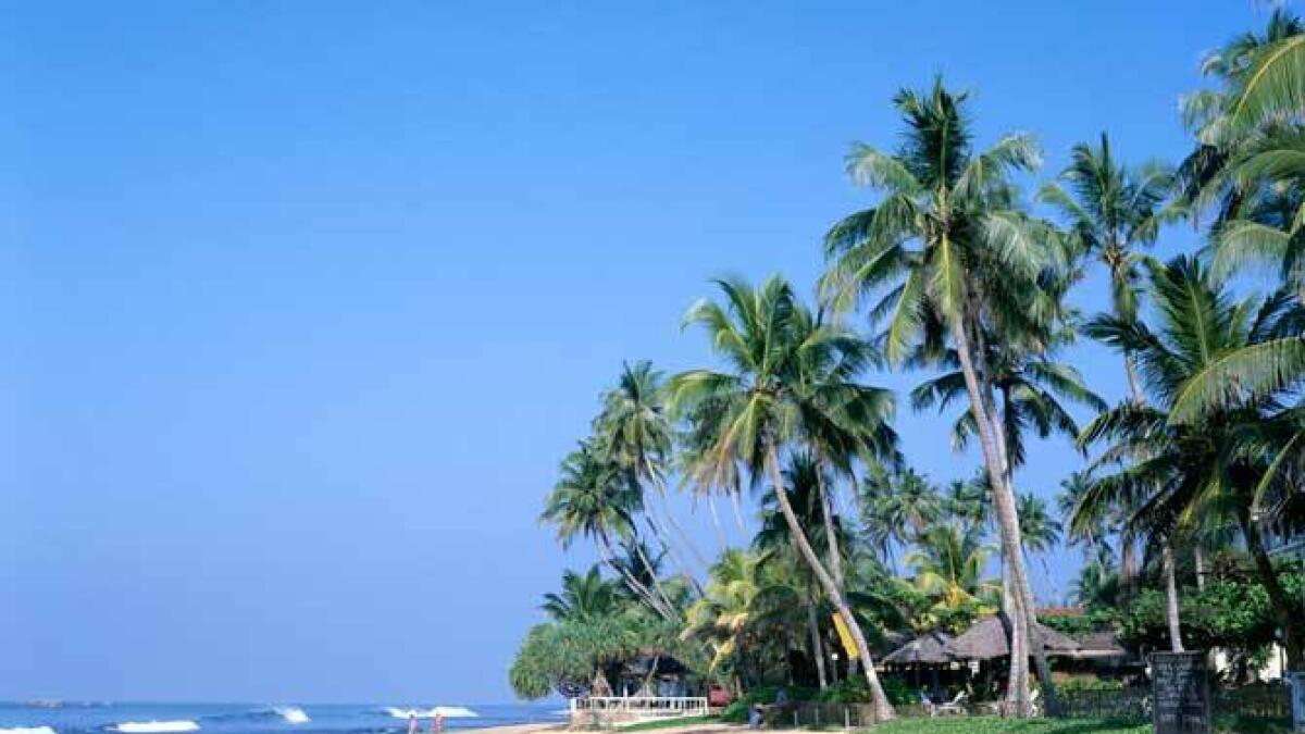 Sri Lanka, the ideal place to relax and introspect