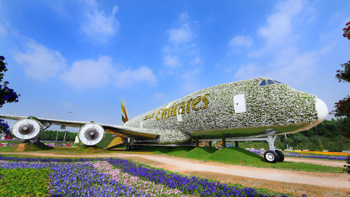 Watch: Emirates A380 makes perfect landing at Dubai Miracle Garden