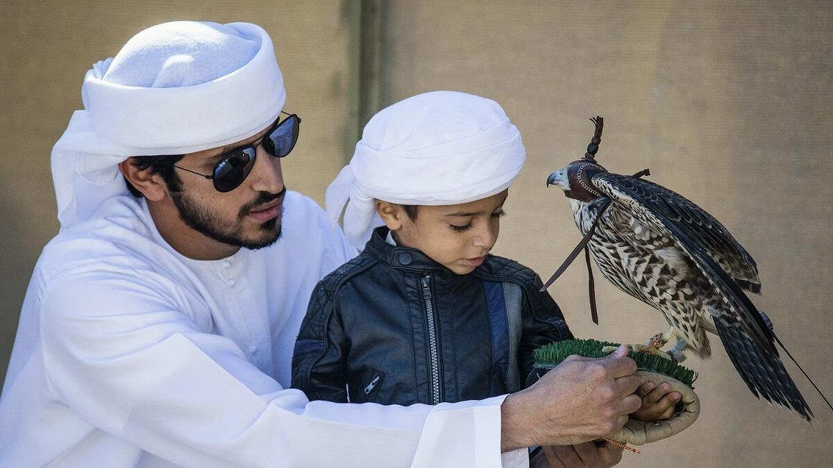 Junior falconers have a field day