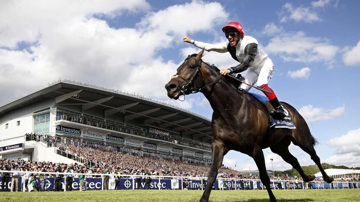 A file photo taken on June 6, 2015 shows Italian jockey Frankie Dettori punching the air as he crosses the finish line riding Golden Horn to win the Derby horse race on the second day of the Epsom Derby Festival in Surrey, southern England. John Gosden's hopes of landing Europe's most prestigious race, the Prix de l'Arc de Triomphe, may rest on his Epsom Derby champion Golden Horn having a clear run at Longchamp on October 4, 2015 he told AFP. Golden Horn, winner of six of his seven races and the mount of Frankie Dettori, represents on paper at least the biggest obstacle to extraordinary French race mare Treve winning a historic third Arc.