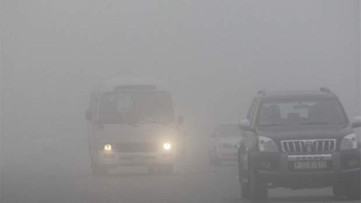 Dense fog causes 12 traffic accidents in UAQ 