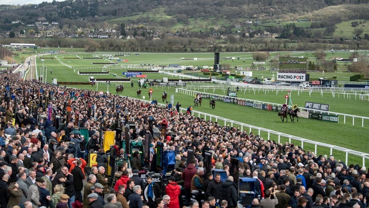 The Cheltenham Festival (pictured) and Liverpool's Champions League Game going ahead was a mistake, a leading scientist has said. -- AFP