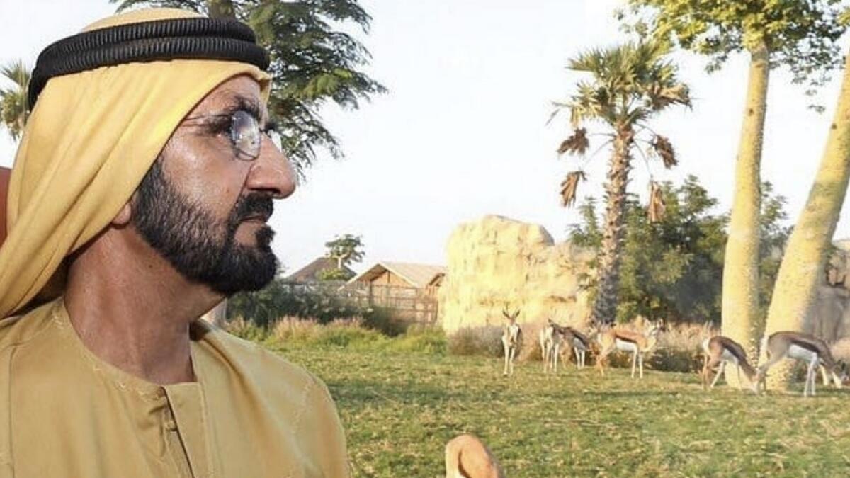 Sheikh Mohammed visits Dubai Safari Park  
