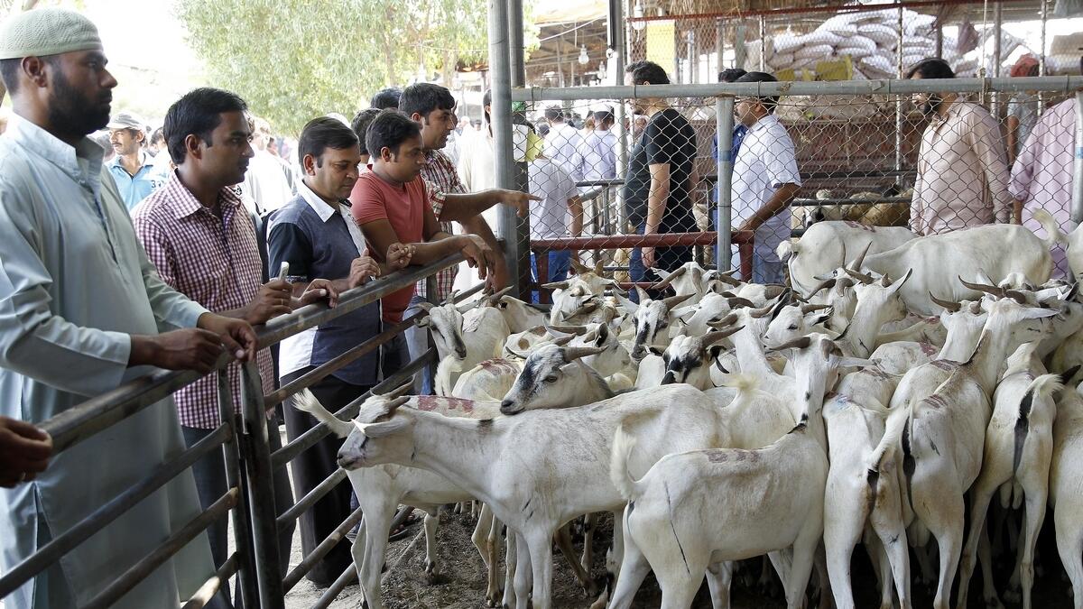 Ministry ensures ample supply of sacrificial animals at markets