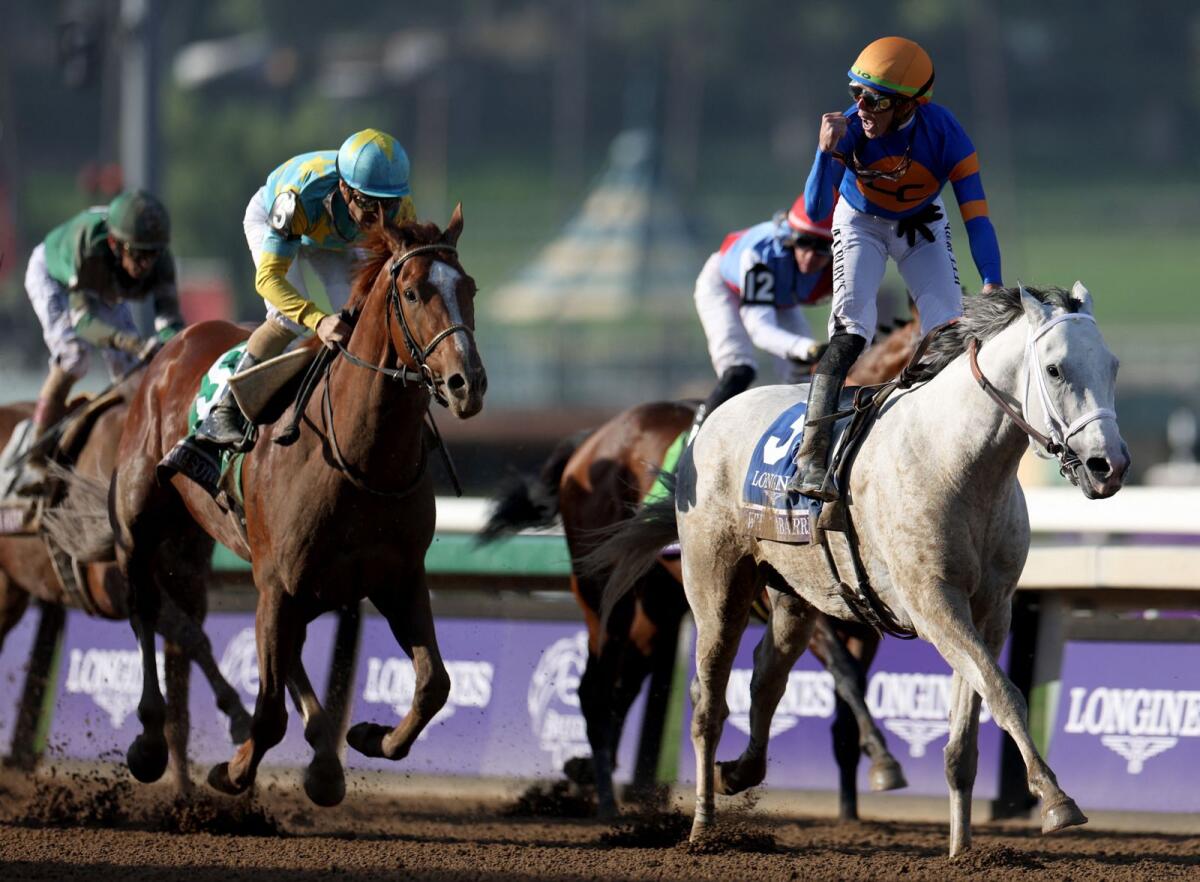 Jockey Irad Ortiz Jr. celebrates at the finish line, riding White Abarrio to victory during the Breeders' Cup Classic (Grade 1). - AFP