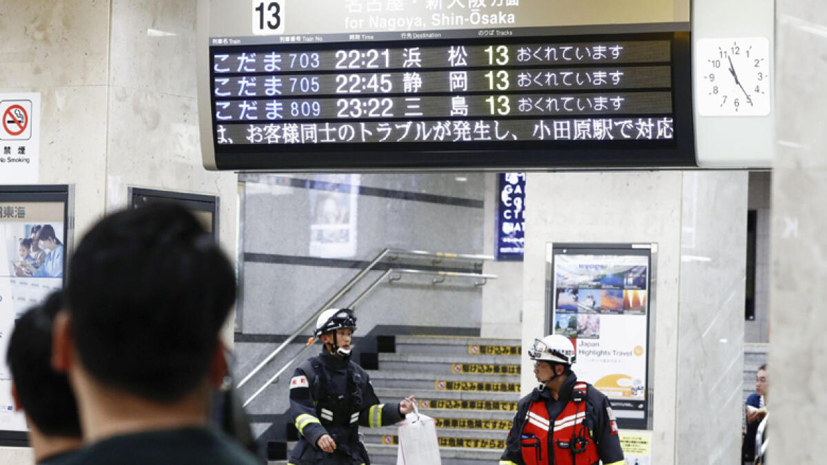 Man arrested over deadly Japan stabbing spree