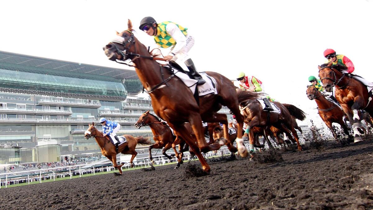 The Dubai World Cup is the world's richest race meeting. (AFP)