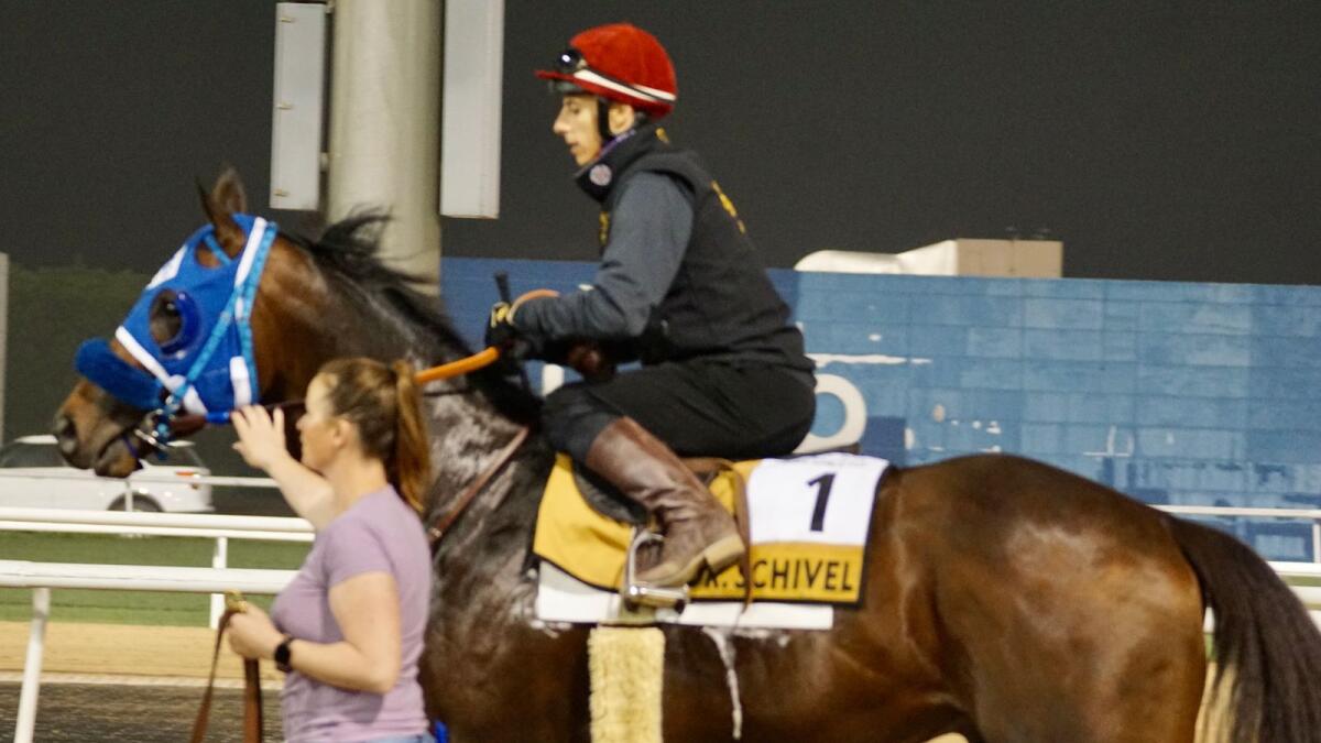 All the top contenders have been put through their paces at Meydan ahead of the Dubai World Cup night. (Supplied photo)