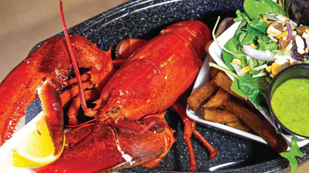 A lobster dinner served with fries and salad. Photos by Stuart Forster.
