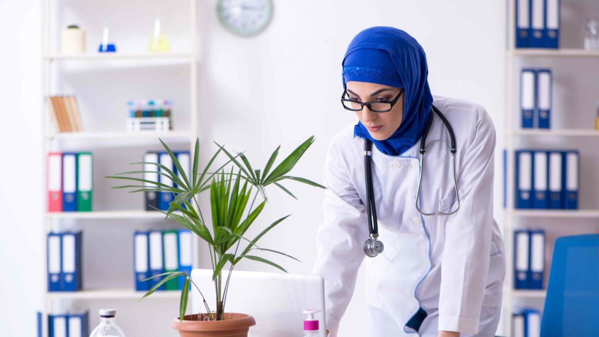 Arab female doctor working in the clinic