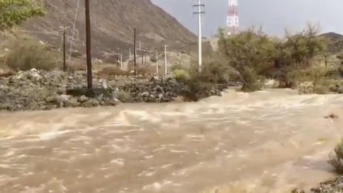 Video: Heavy rain, flood hit parts of UAE