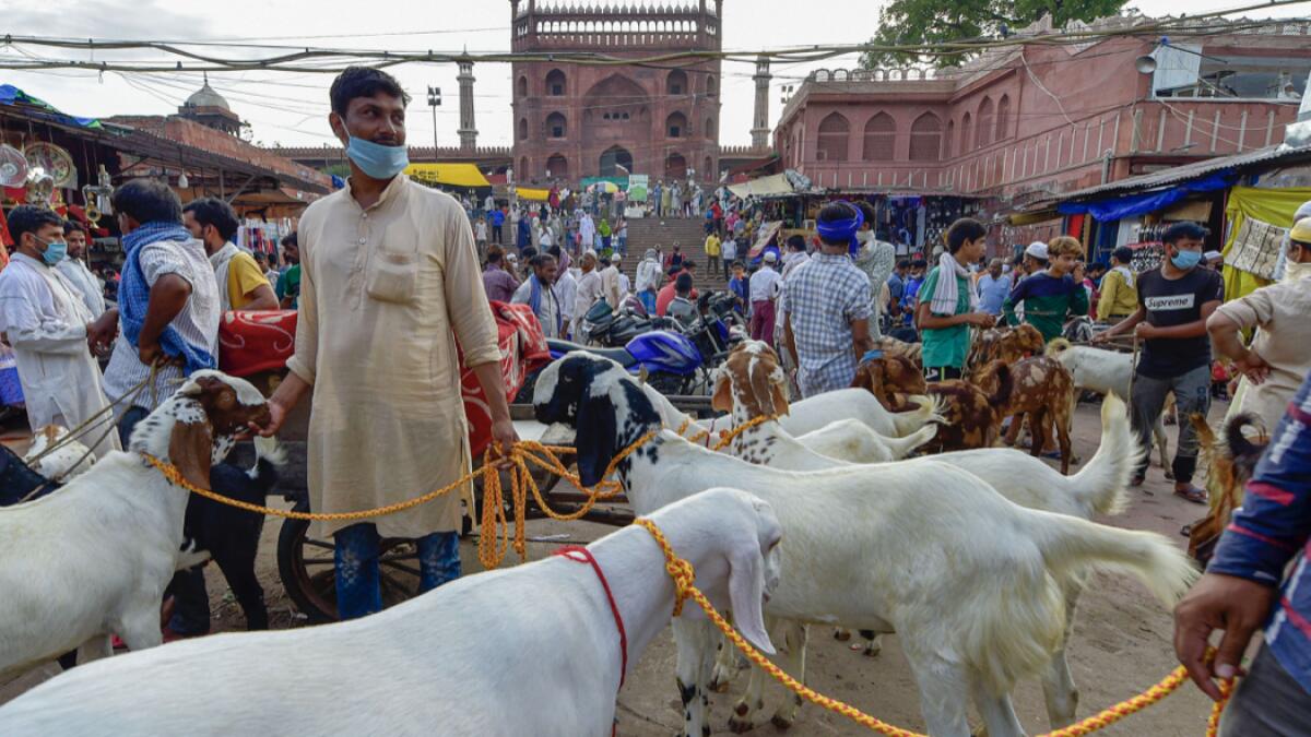 Traders with their livestock wait for customers near Jama Masjid ahead of Eid Al Adha, during Unlock 2.0, in New Delhi, India. Photo: PTI