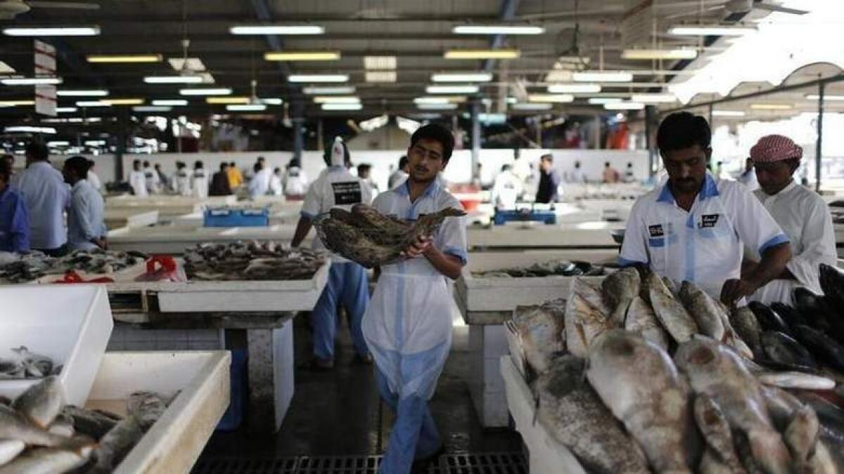 Why 2 fish varieties are banned in UAE from next month