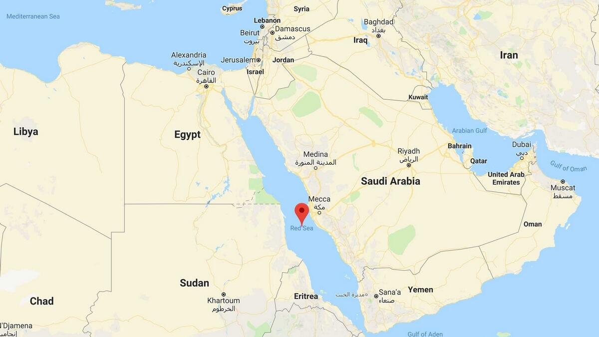 UAE slams Houthi threat to block Red Sea traffic