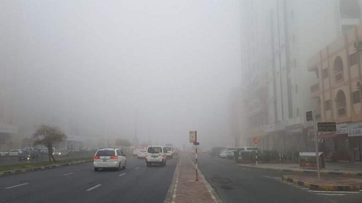 Two car insurance schemes to cover fog-related damages in UAE